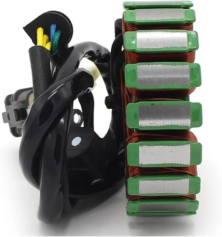 Motorcycle Accessories Magneto Stator Coil For Bombardier Can-am DS250 DS 250 2008-2016 S31120RCA000 Stator Coil in Saudi Arabia