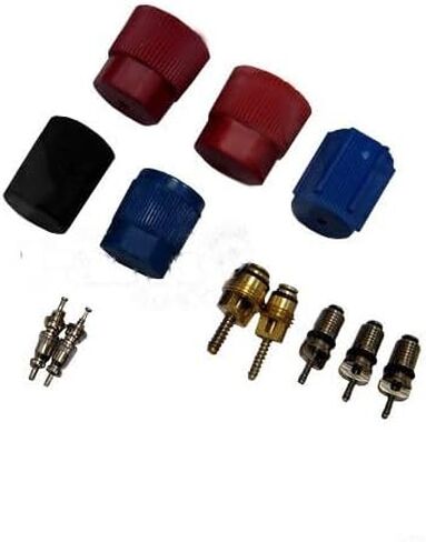 A/C System Valve Core and Cap Kit for 1997-2010 Ford F150 in Saudi Arabia