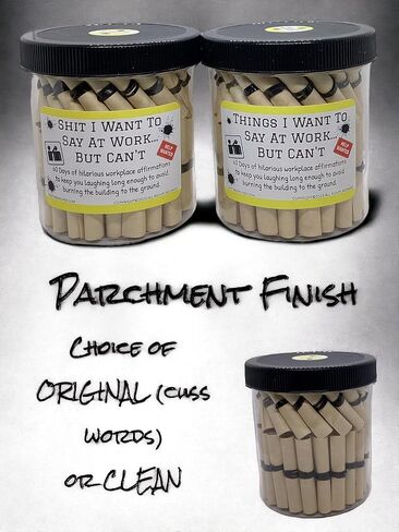 Funny Work Affirmation Jar - Shit I Want to Say at Work But Can't -Office Humor - Stress Relief - Coworker Gag Gift - 60 Hilarious Quotes- (Parchment, Original (CUSS WORDS)) in Saudi Arabia