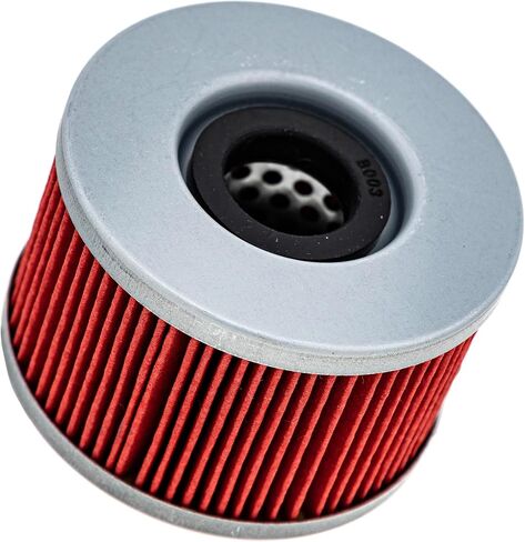 مرشح زيت متخصص لـ Honda 154A1-413-505 15412-413-000 Pioneer 700 700-4 SXS700M2 SXS700M4 RINCON 680 in Saudi Arabia