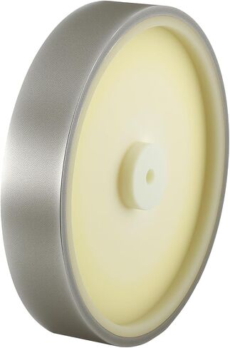 10 inch CBN Grinding Wheel 200 Grit, 2" Wide x 12mm Bore, for Tormek T-8 Sharpening System、 High-Speed Steel Tool (200 Grit) in Saudi Arabia