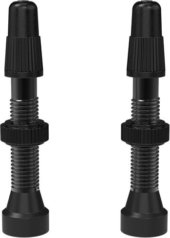 WTB Tcs Al Orange Presta Valve 46mm 2Pcs (W095-0062) in Saudi Arabia