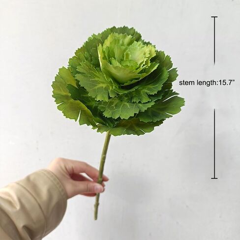 2Pcs Artificial Faux Cabbage Rose Flowers Stems Fake Silk Flower Branch for Home Decoration Wedding Kitchen Decoration (White) in Saudi Arabia