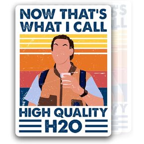 بوبي باوتشر هاي h2o Waterboy الآن هذا ما أسميه H20 ملصق فني ميمي 3" in Kuwait