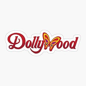 Dollywood Cedar Tennessee Lightning Point Rod Sticker Decal Vinyl - Peel and Stick to Any Smooth Surface