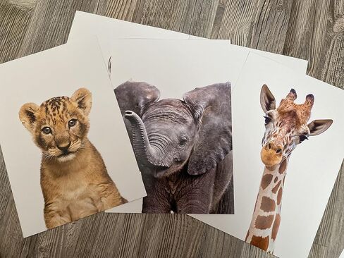 Baby Safari Animals for Girl or Boy Nursery Bedroom, Set of 3 Unframed Wall Art Prints, Jungle Leaves Posters, Nursery Decor Gift, Giraffe Elephant Lion (11x14) in Saudi Arabia