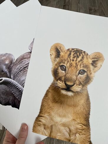 Baby Safari Animals for Girl or Boy Nursery Bedroom, Set of 3 Unframed Wall Art Prints, Jungle Leaves Posters, Nursery Decor Gift, Giraffe Elephant Lion (11x14) in Saudi Arabia