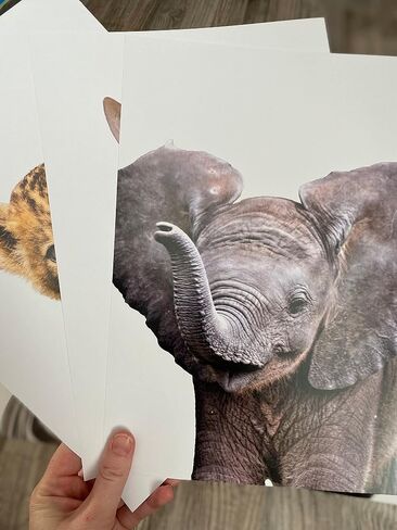 Baby Safari Animals for Girl or Boy Nursery Bedroom, Set of 3 Unframed Wall Art Prints, Jungle Leaves Posters, Nursery Decor Gift, Giraffe Elephant Lion (11x14) in Saudi Arabia