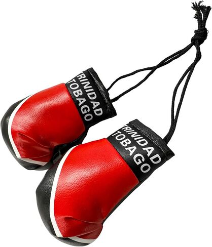 1 Pair Mini Boxing Gloves for Car Mirror, Novelty Miniature Punching Gloves Automobile Mirror Hanging Accessories, Christmas Ornament Hanging Decoration for Home & Car Use (Italy) in Saudi Arabia