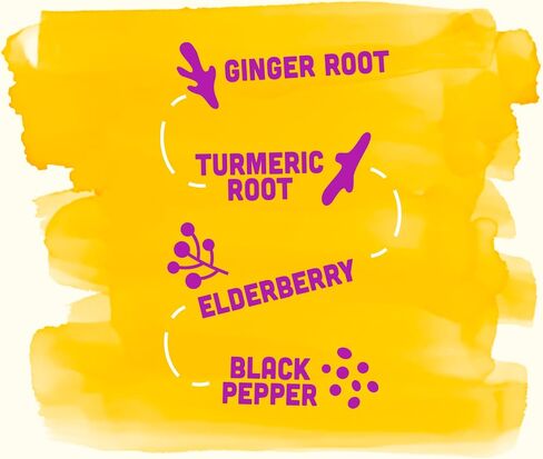 Vive Organic Immune Support Elderberry Shot, Cold-Pressed Turmeric & Ginger, Gluten Free, Vegan, Immunity Boost Elderberry, 2 Fl Oz (Pack of 12) in Saudi Arabia