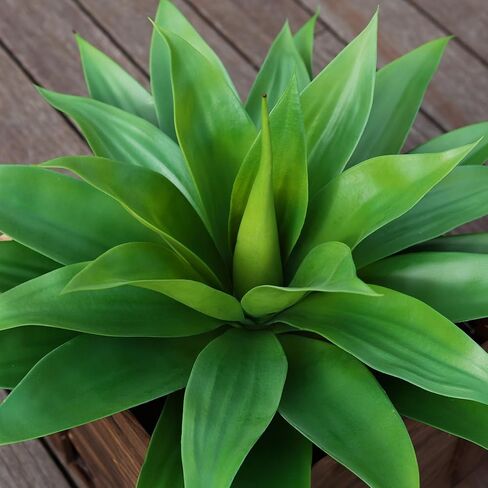 Artificial Plants Fake Agave Succulent Plant 28 Inch Big Size Faux Succulents Stems for Indoor Outdoor Realistic & Natural Home Decor Plants for Office Housewarming 2 Pack in Kuwait