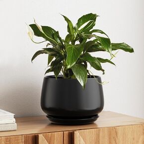 LE TAUCI Ceramic Planters, 10 Inch Pots for Plants, Indoor Plant Pots with Drainage Holes and Saucers, Modern Planters Fit Mid Century Plant Stand, Flower Pots for Indoor Plants, Reactive Glaze Beige in Kuwait