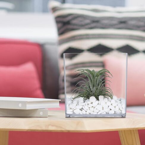 2 Pack Acrylic Cube Vases 4 X 4 Inch, Clear Square Vases, Shatterproof Flower Vase Decorative Centerpiece for Home, Wedding in Saudi Arabia