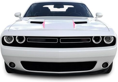 Front INNER OUTER COWL HOOD Spears Vinyl Graphic Scen in Kuwait
