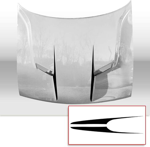 Front INNER OUTER COWL HOOD Spears Vinyl Graphic Scen in Kuwait