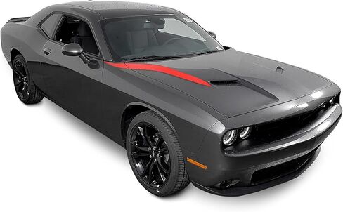 Front INNER OUTER COWL HOOD Spears Vinyl Graphic Scen in Kuwait