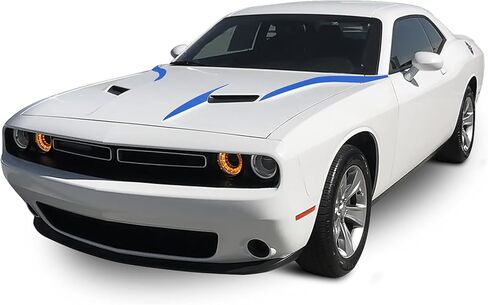 Front INNER OUTER COWL HOOD Spears Vinyl Graphic Scen in Kuwait
