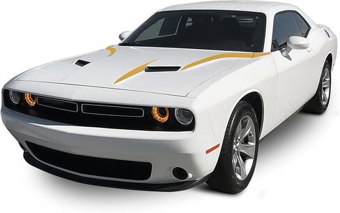Front INNER OUTER COWL HOOD Spears Vinyl Graphic Scen in Kuwait