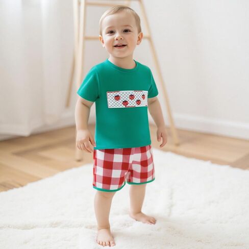 Toddler Baby Boy Summer Outfits Short Sleeve Embroidered T Shirt Tees + Striped/Plaid Shorts Infant Clothes Set in Kuwait