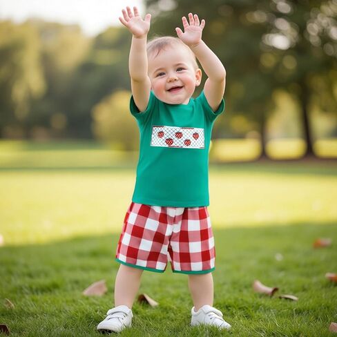 Toddler Baby Boy Summer Outfits Short Sleeve Embroidered T Shirt Tees + Striped/Plaid Shorts Infant Clothes Set in Kuwait