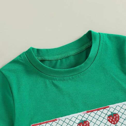 Toddler Baby Boy Summer Outfits Short Sleeve Embroidered T Shirt Tees + Striped/Plaid Shorts Infant Clothes Set in Kuwait