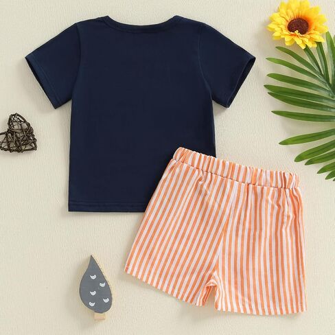 Toddler Baby Boy Summer Outfits Short Sleeve Embroidered T Shirt Tees + Striped/Plaid Shorts Infant Clothes Set in Kuwait