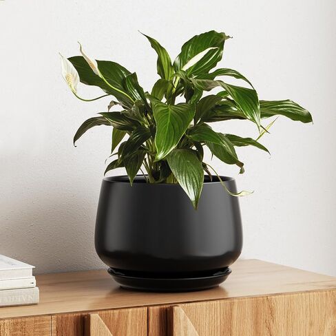 LE TAUCI Ceramic Planters, 10 Inch Pots for Plants, Indoor Plant Pots with Drainage Holes and Saucers, Modern Planters Fit Mid Century Plant Stand, Flower Pots for Indoor Plants, Reactive Glaze Beige in Kuwait