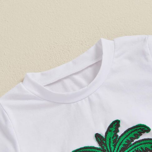 fhutpw Toddler Baby Boy Summer Clothes Embroidery T-Shirt Casual Shorts Sets Infant Truck Excavator Dinosaur Pattern Outfits in Saudi Arabia