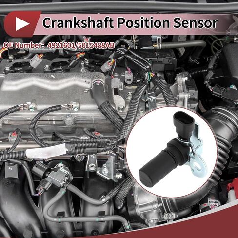 1 جهاز كمبيوتر مستشعر موقف crankshaved للذاكرة RAM 2500 3500 5.9L ديزل 98-02 محرك CKP Sensor No.5015488ab Black Metal Plastic in Saudi Arabia