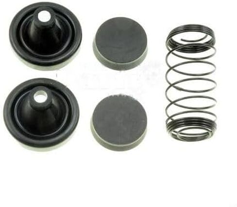 Drum Brake Wheel Cylinder Repair Kit for 1980-1983 Ford LN600 (PG-317116) in Saudi Arabia