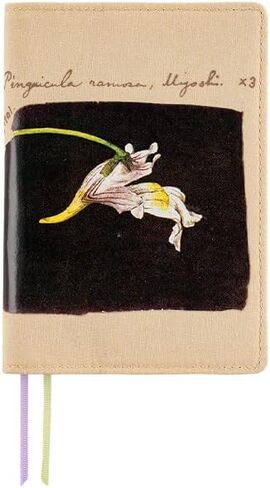 ほぼ日 Hobonichi Techo Original & Planner Cover [A6 Cover Only] Tomitaro Makino: Koshinso in Saudi Arabia