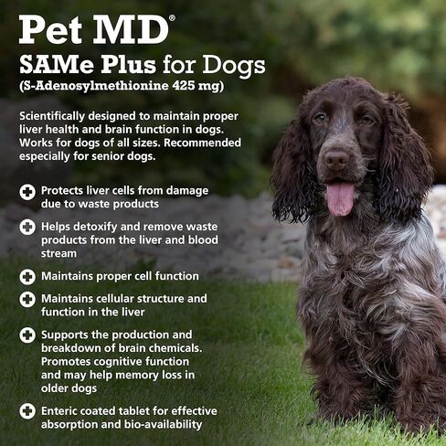 الحيوانات الأليفة MD Same Plus دعم الكبد للكلاب - دعم الكبد للكلاب ومكملات صحة الدماغ - فيتامينات ب ونفس الشيء للكلاب - أقراص مغلفة معوية - 425 ملجم - 30 قيراط in Kuwait