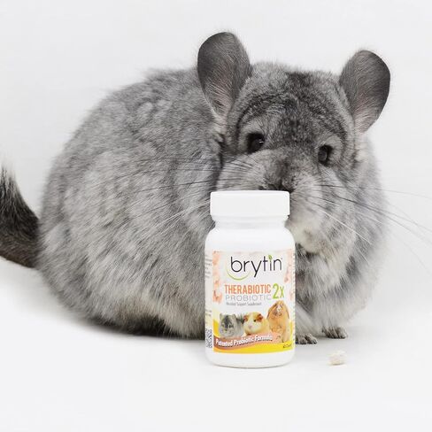 TheraBiotic 2X Probiotic - Microbial Support Supplement - 60 Tablets - Rabbits, Chinchillas, Specialty Pets in Saudi Arabia
