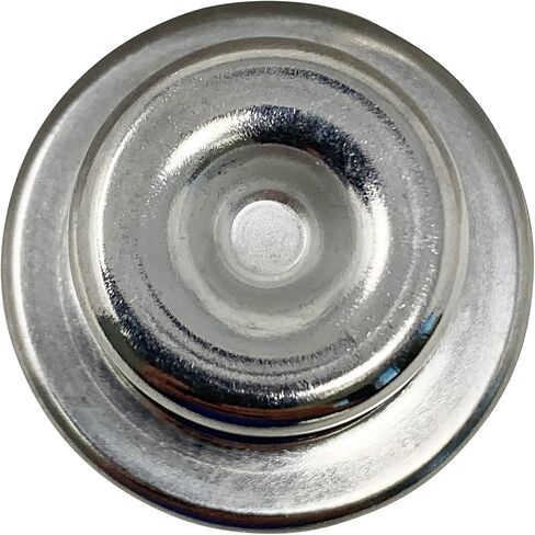 Fuel Pressure Regulator for Harley Davidson 02-07 Softail, Fat Boy, Heritage Classic, Heritage Springer in Saudi Arabia