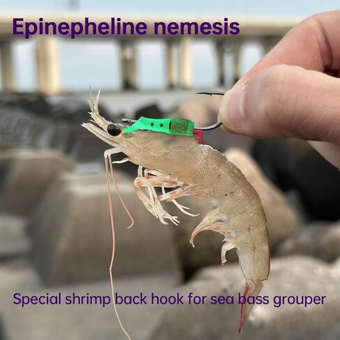 10Pcs Luminous Live Shrimp Hooks,Holes with Night Light Fishing Hooks High Carbon Steel Barbed with Barbed,Saltwater Corrosion-Resistant for Freshwater & Saltwater Fishing in Kuwait
