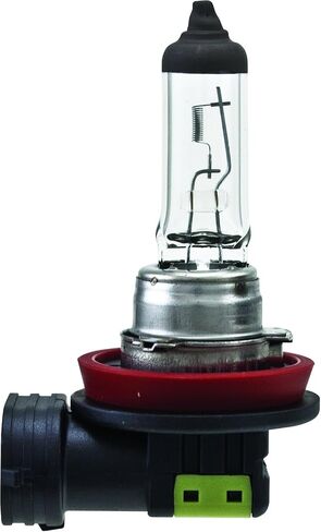 H11 Halogen Bulb for Fog in Saudi Arabia