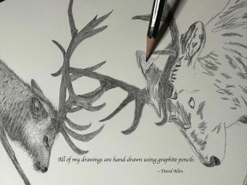 Noah's Ark Series Giraffes Graphite Pencil Art Sketch رسم طباعة صورة محدودة ~ بعنوان "Giraffes of the Ark" بقلم David Allen (11 × 14 إطار وطباعة) in Saudi Arabia