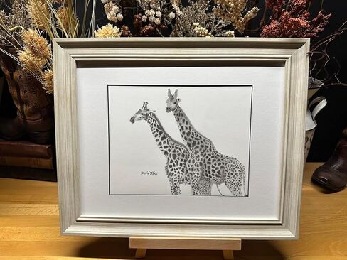 Noah's Ark Series Giraffes Graphite Pencil Art Sketch رسم طباعة صورة محدودة ~ بعنوان "Giraffes of the Ark" بقلم David Allen (11 × 14 إطار وطباعة) in Saudi Arabia