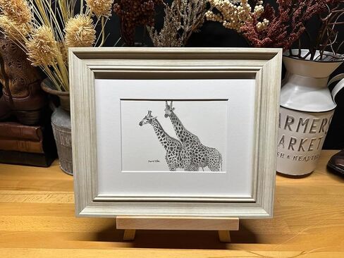 Noah's Ark Series Giraffes Graphite Pencil Art Sketch رسم طباعة صورة محدودة ~ بعنوان "Giraffes of the Ark" بقلم David Allen (11 × 14 إطار وطباعة) in Saudi Arabia