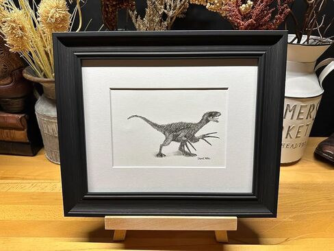 Therizinosaurus Dinosaur Graphite Pencil Art Sketch Drawing Print Picture Limited Edition 'The Riz Notorious' by David Allen (11x14 Black Frame & Print) in Saudi Arabia