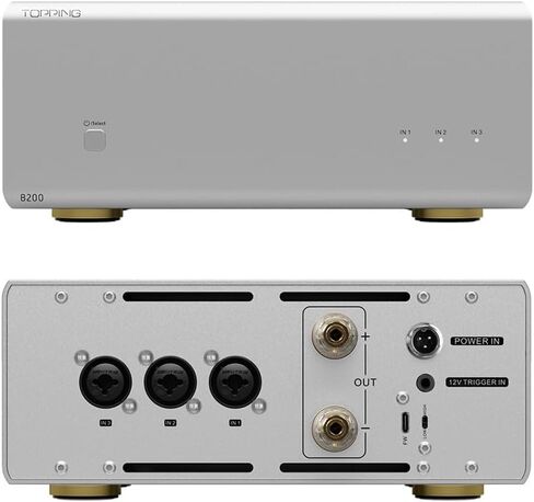 TOPPING B100 Mono Block Power Amplifier - 100W Output,151dB SNR/DNR, Balanced/Single-Ended Inputs, 3 Gain Modes, 12V Trigger (Silver) in Saudi Arabia