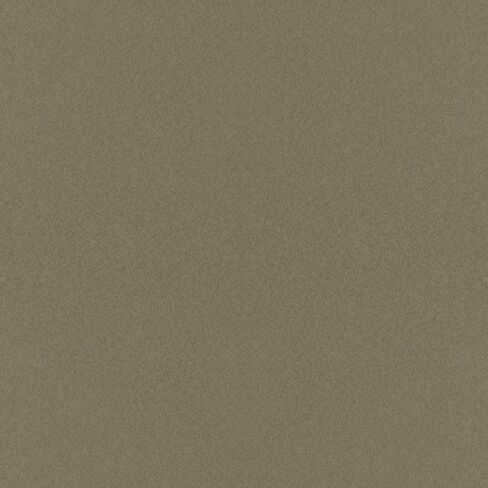 R&E Paint Supply Compatible with GM WA228A, Light Autumnwood Metallic Automotive Paint, 11oz Aerosol in Saudi Arabia