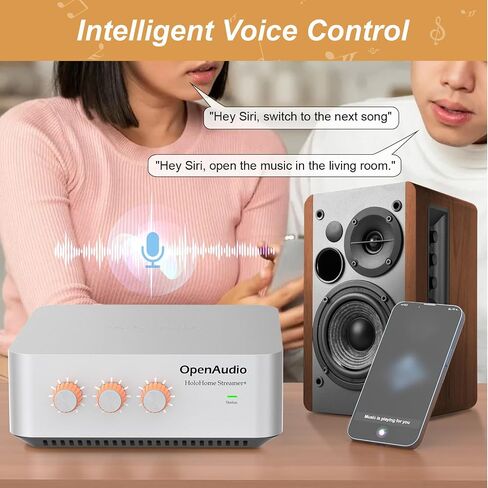 StreamerAmp Pro: Multi-Room Streaming Amplifier | Airplay2, Spotify Connect, DLNA | Mobile APP | Equalizer | Bluetooth Audio, RCA (Electronic_Component_Amplifier in Saudi Arabia