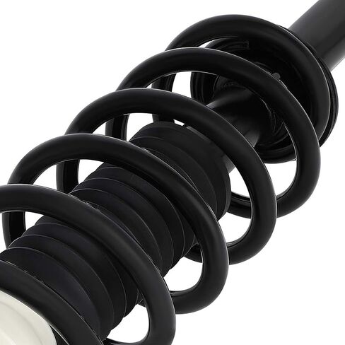 ECCPP 2pcs Rear Pair Complete Strut Assembly Shock Absorber for 2009 2010 for Dodge Journey in Saudi Arabia
