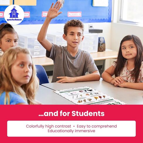 Quarterhouse Instrument Families Poster Set, Music Classroom Learning Materials for K-12 Students and Teachers, Set of 5, 12 x 18 Inches, Extra Durable in Kuwait