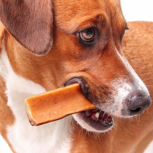 Peanut Butter Himalayan Yak Cheese Chew for Dogs - 2 Pack Medium - Yak Chews for Dogs in Kuwait