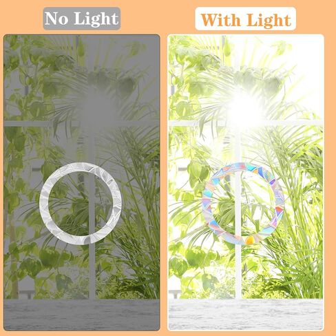 48 Pcs Anti Collision Window Decals for Bird Strikes 3 Sheets of Static Window Clings Circle and Ring Style Stop Birds Flying Into Windows Bird Strike Prevention Glass Door Windows Stickers in Saudi Arabia