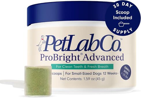 PetLab Co. ProBright Advanced Dental Powder - Dog Breath Freshener - Teeth Cleaning Made Easy – Targets Tartar & Bad Breath - Formulated for Small Dogs in Kuwait