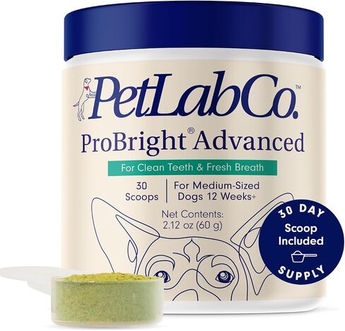 PetLab Co. ProBright Advanced Dental Powder - Dog Breath Freshener - Teeth Cleaning Made Easy – Targets Tartar & Bad Breath - Formulated for Small Dogs in Kuwait