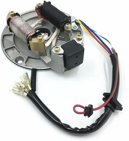 2 COIL MAGNETO STATOR PLATE FOR 70CC 90CC 110CC 125CC DIRT BIKE JH70 in Saudi Arabia